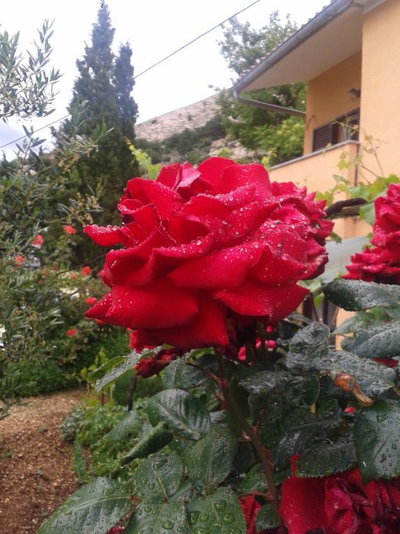 Studio Apartman Stara Baška Dış mekan fotoğraf